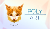 Poly Art